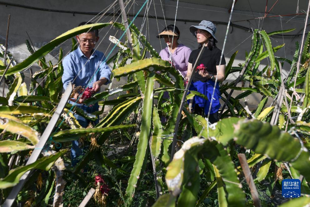 乐游游戏盒下载